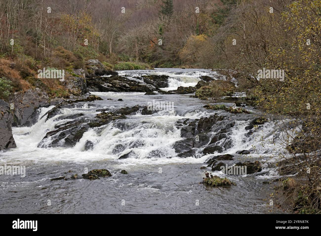 View of Rheidol Falls Ceredigion West Wales Stock Photo - Alamy