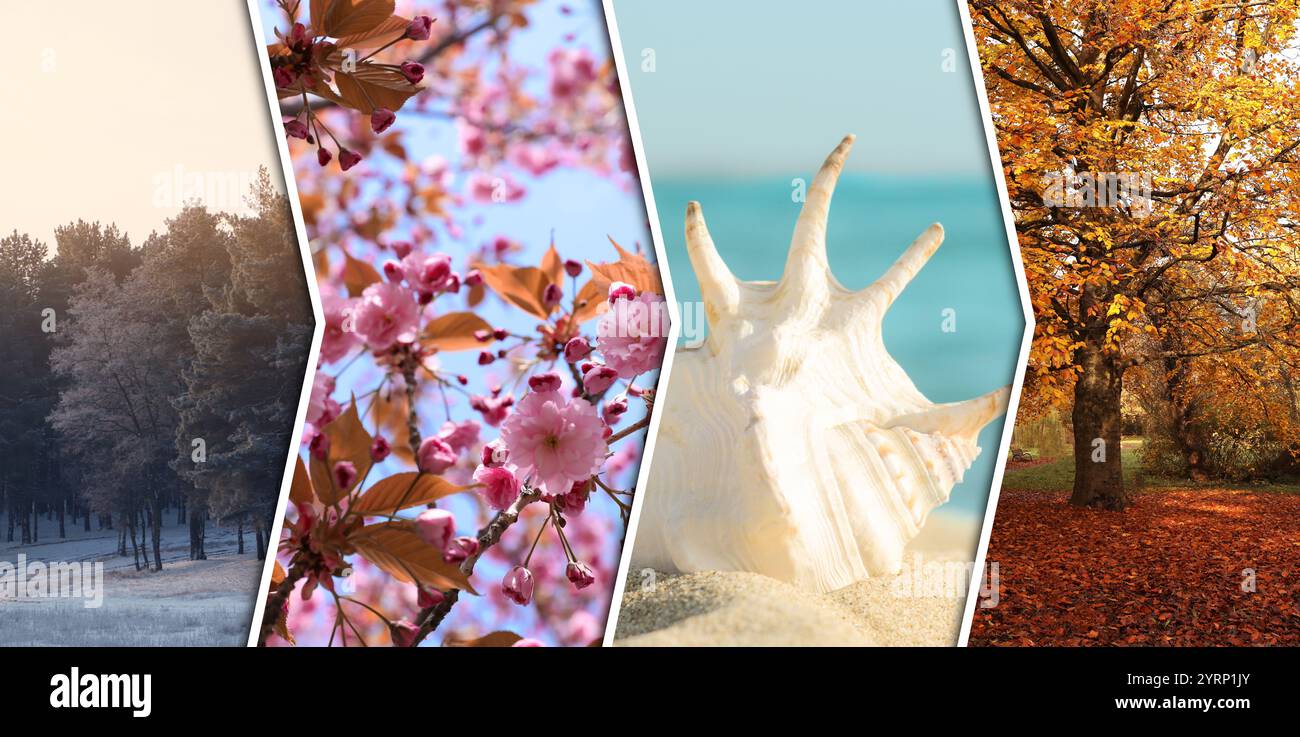 Four seasons, collage. Beautiful photos of nature during spring, summer ...