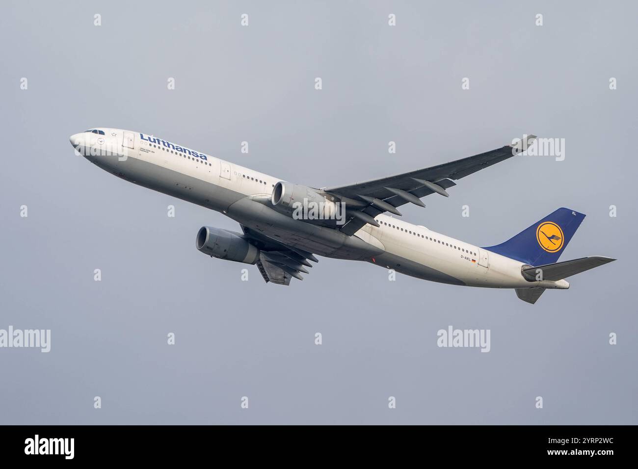 Airbus 330-300 Ingolstadt der Lufthansa startet im Flachstartverfahren am Frankfurter Rhein-Main Airport auf der Startbahn West, was in der Fluglärmkommission aufgrund des Flachstartverfahrens und dem damit verbundenen Fluglärm in den angrenzenden Städte und Gemeinden Proteste auslöst - Frankfurt 04.12.2024: Frankfurter Rhein-Main Flughafen *** Lufthansa Airbus 330 300 Ingolstadt takes off in flat take-off procedure at Frankfurt Rhein Main Airport on Runway West, which triggers protests in the Aircraft Noise Commission due to the flat take-off procedure and the associated aircraft noise in the Stock Photo