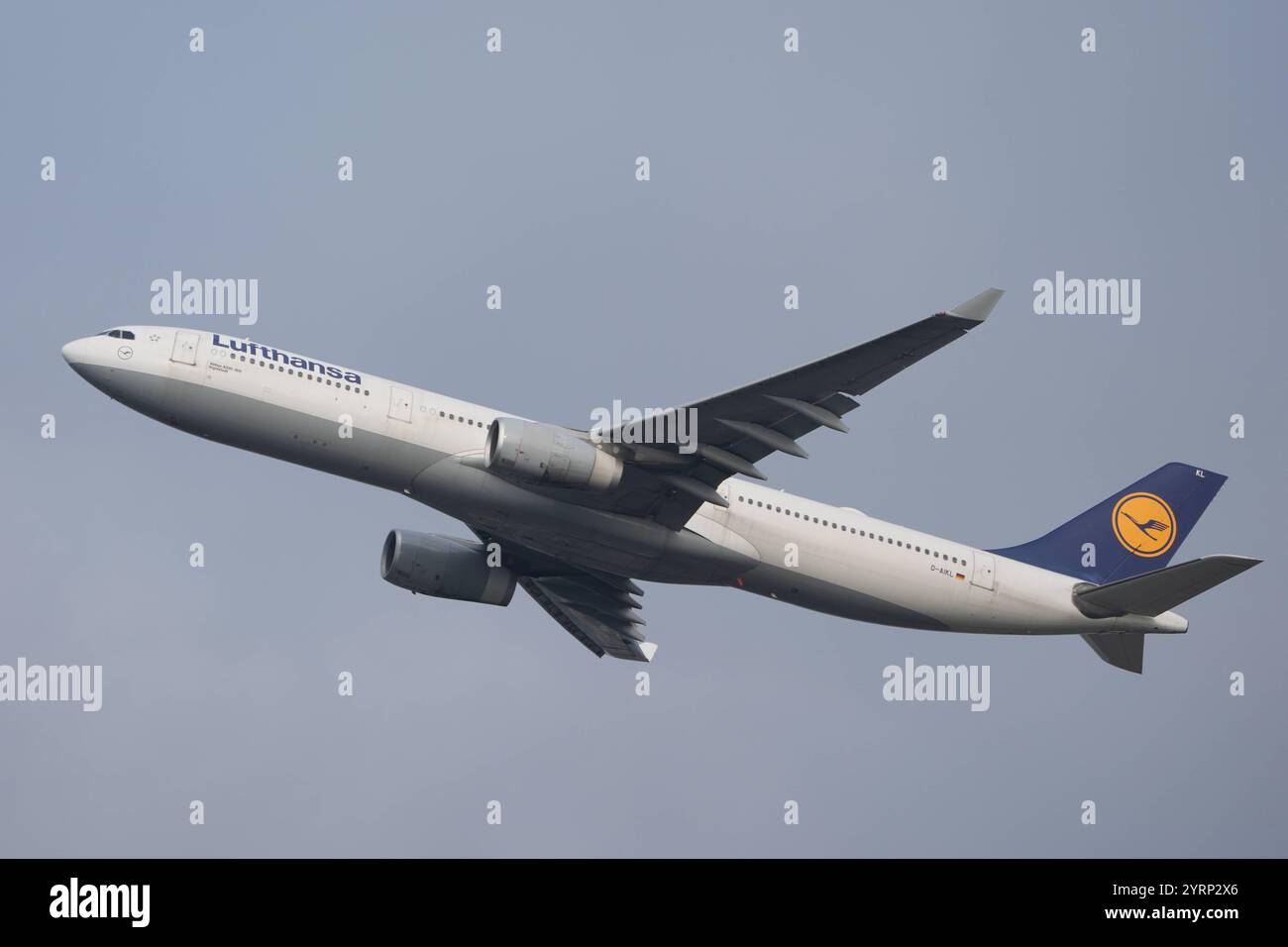 Airbus 330-300 Ingolstadt der Lufthansa startet im Flachstartverfahren am Frankfurter Rhein-Main Airport auf der Startbahn West, was in der Fluglärmkommission aufgrund des Flachstartverfahrens und dem damit verbundenen Fluglärm in den angrenzenden Städte und Gemeinden Proteste auslöst - Frankfurt 04.12.2024: Frankfurter Rhein-Main Flughafen *** Lufthansa Airbus 330 300 Ingolstadt takes off in flat take-off procedure at Frankfurt Rhein Main Airport on Runway West, which triggers protests in the Aircraft Noise Commission due to the flat take-off procedure and the associated aircraft noise in the Stock Photo