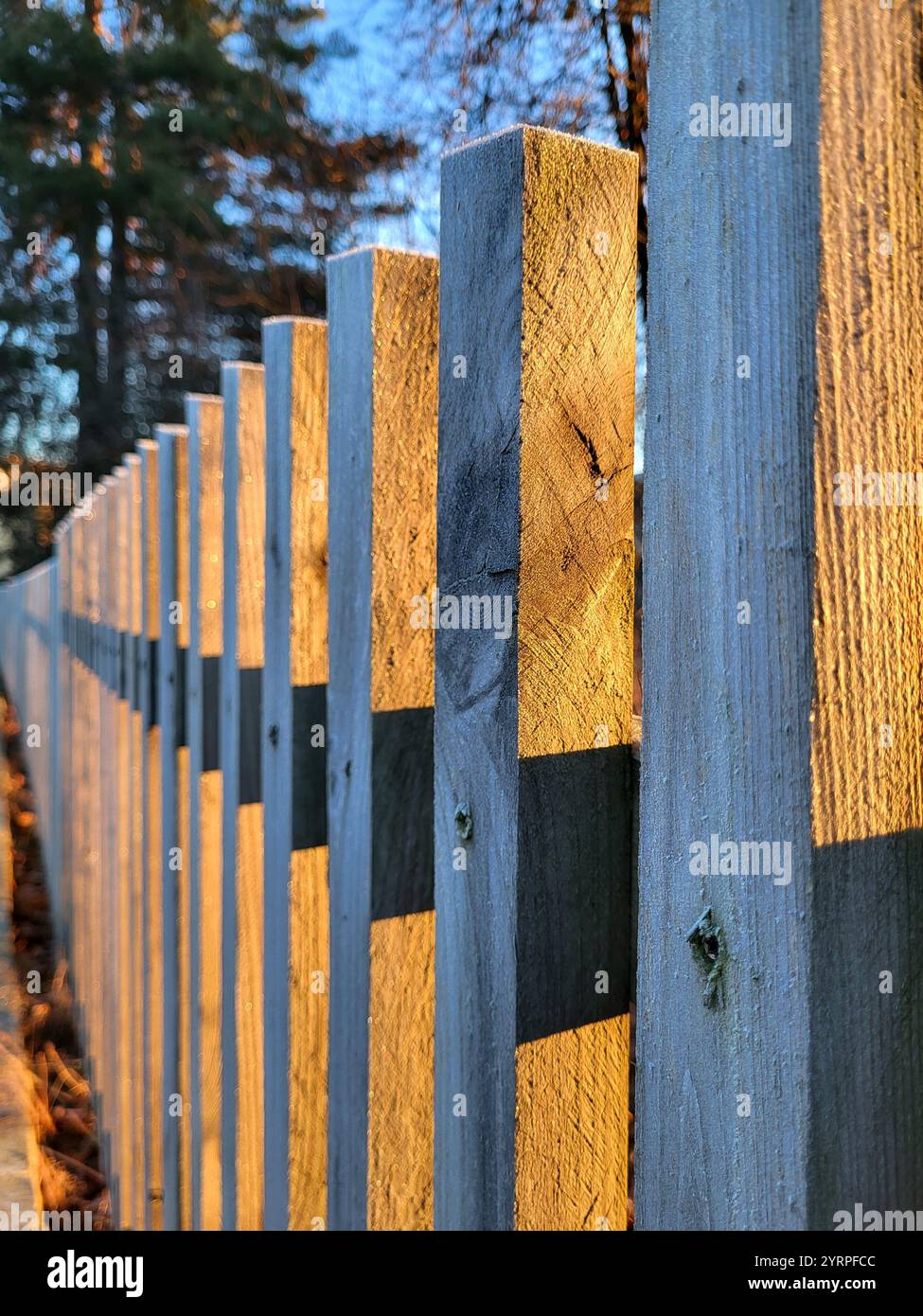 Fence bathed in sun on a cold autumn day at sunset during the golden hour - Smartphone Captured Stock Image