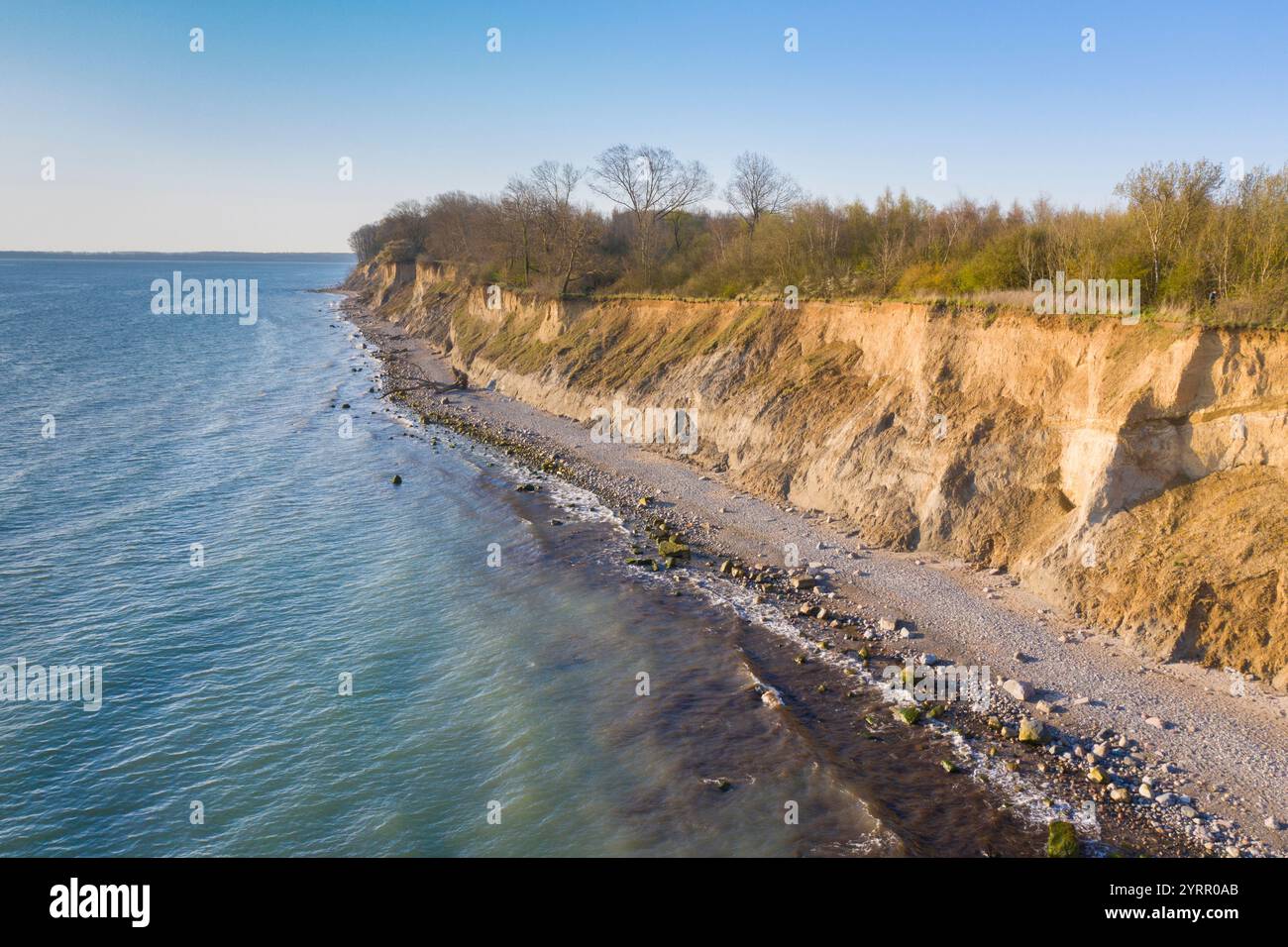 View of the Brodtener Steilfufer on the Baltic Sea, Schleswig-Holstein, Germany Stock Photo