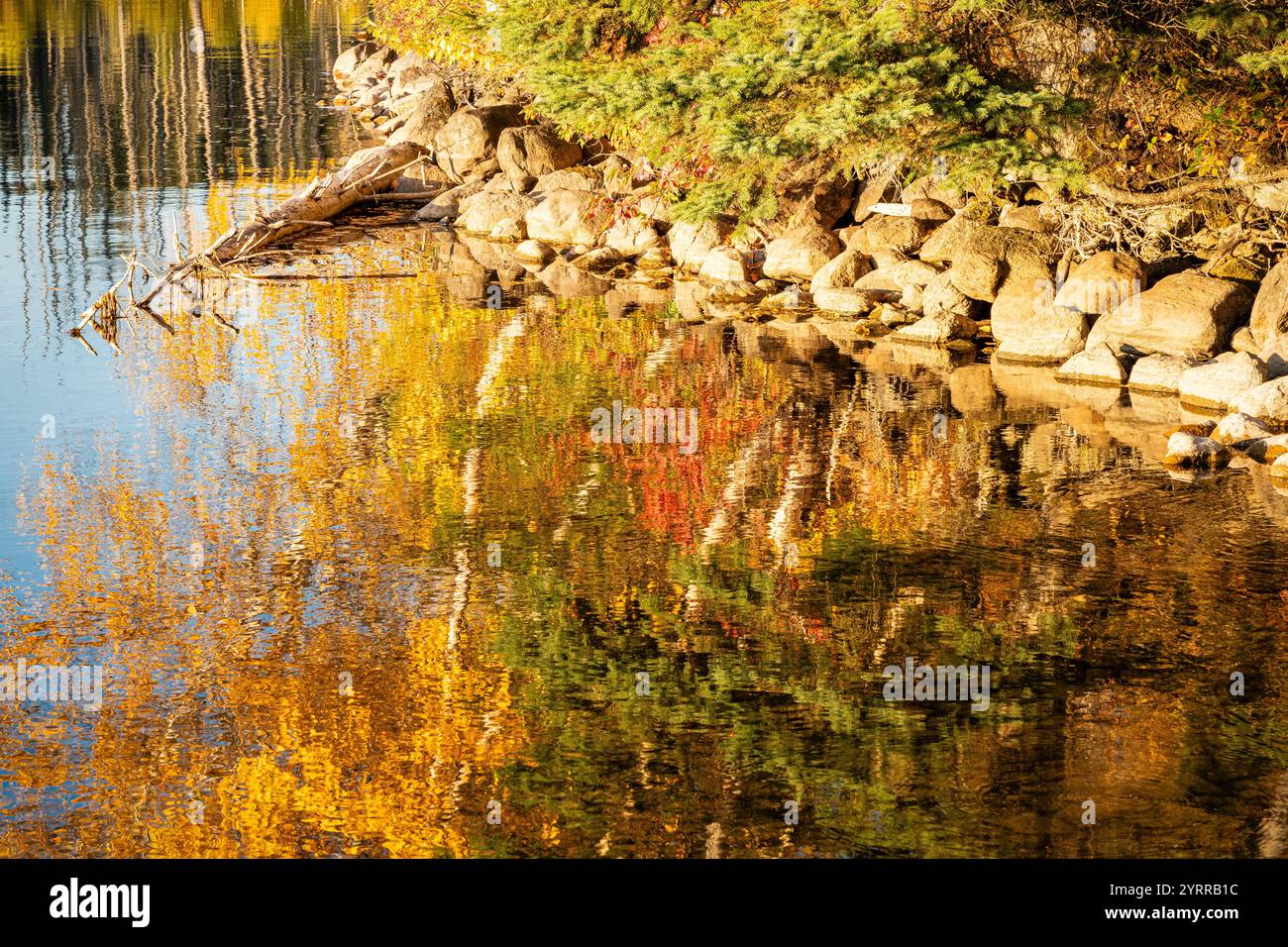 A beautiful reflection of trees and rocks in a lake. The water is calm ...