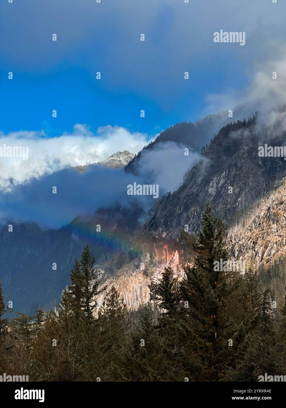 A mountain top landscape featuring dense forest, set beneath a clear blue sky dotted with soft fluffy clouds, with vibrant rainbow colors. - Smartphone Captured Stock Image A mountain top landscape featuring dense forest, set beneath a clear blue sky dotted with soft fluffy clouds, with vibrant rainbow colors. - Smartphone Captured Stock Image
