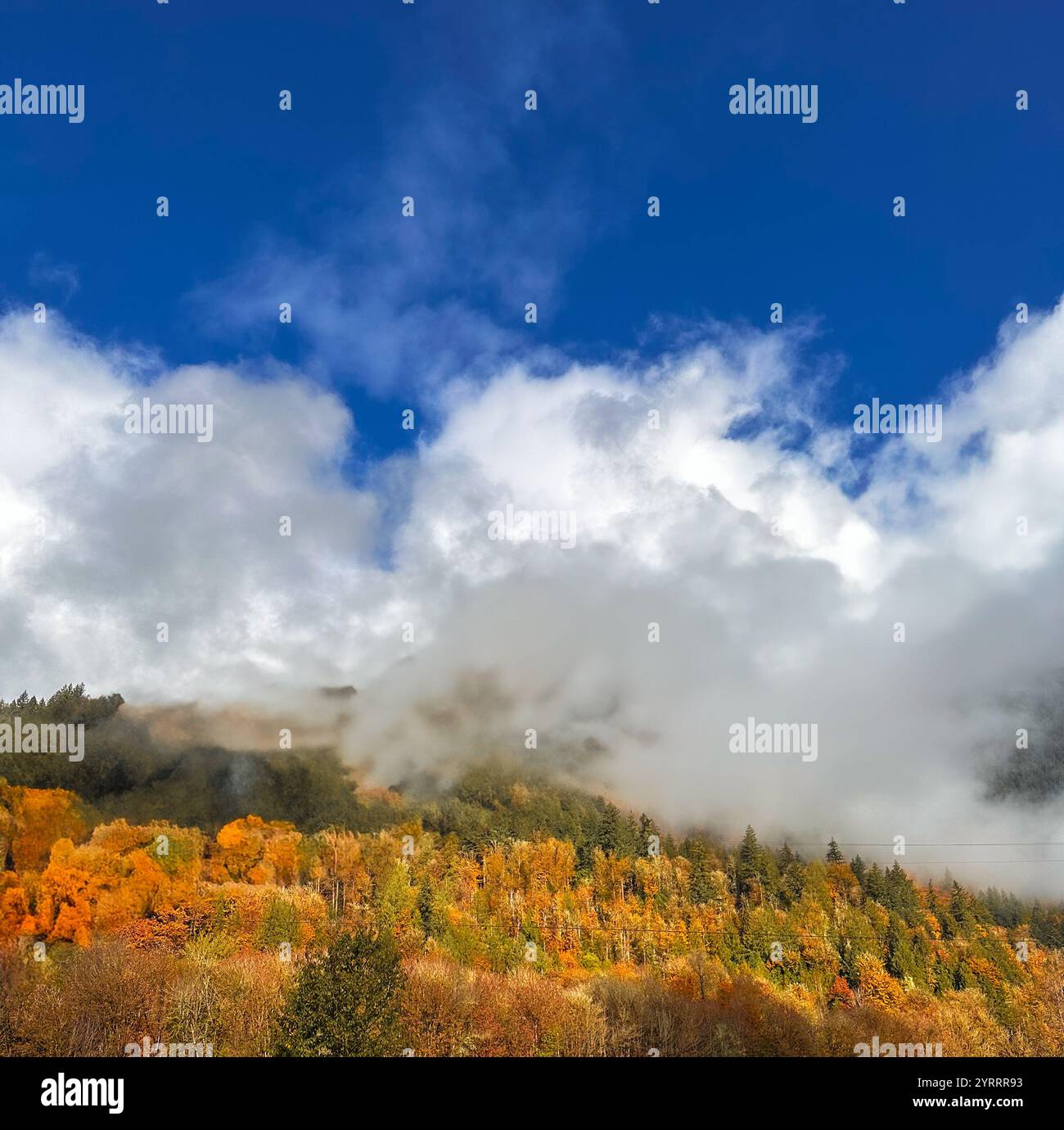 Seasonal change on a partially cloudy day in the Pacific Northwest - Smartphone Captured Stock Image