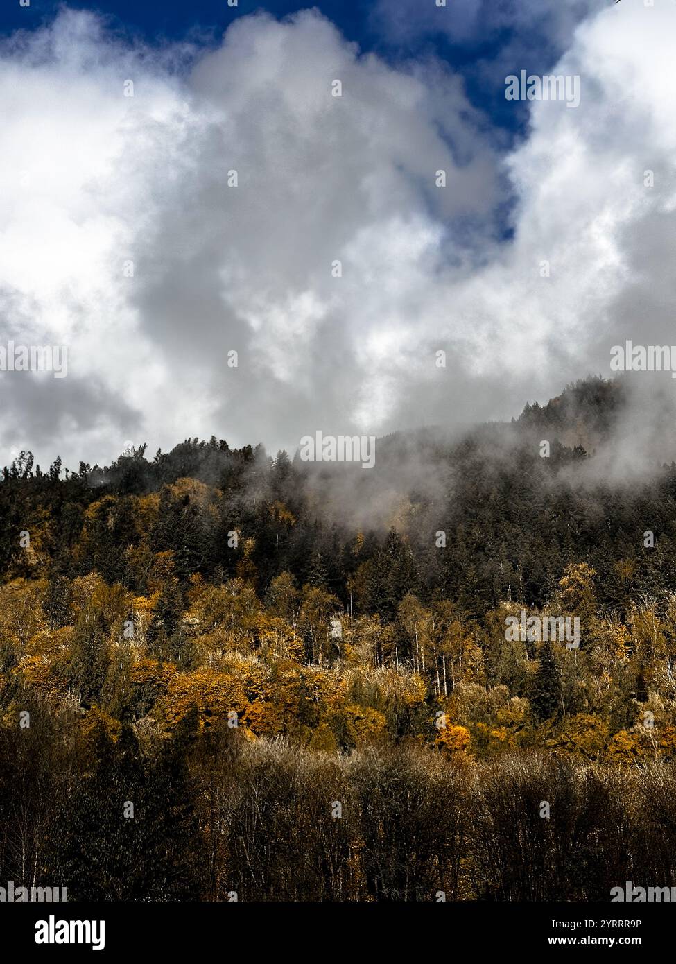 Seasonal change on a partially cloudy day in the Pacific Northwest - Smartphone Captured Stock Image