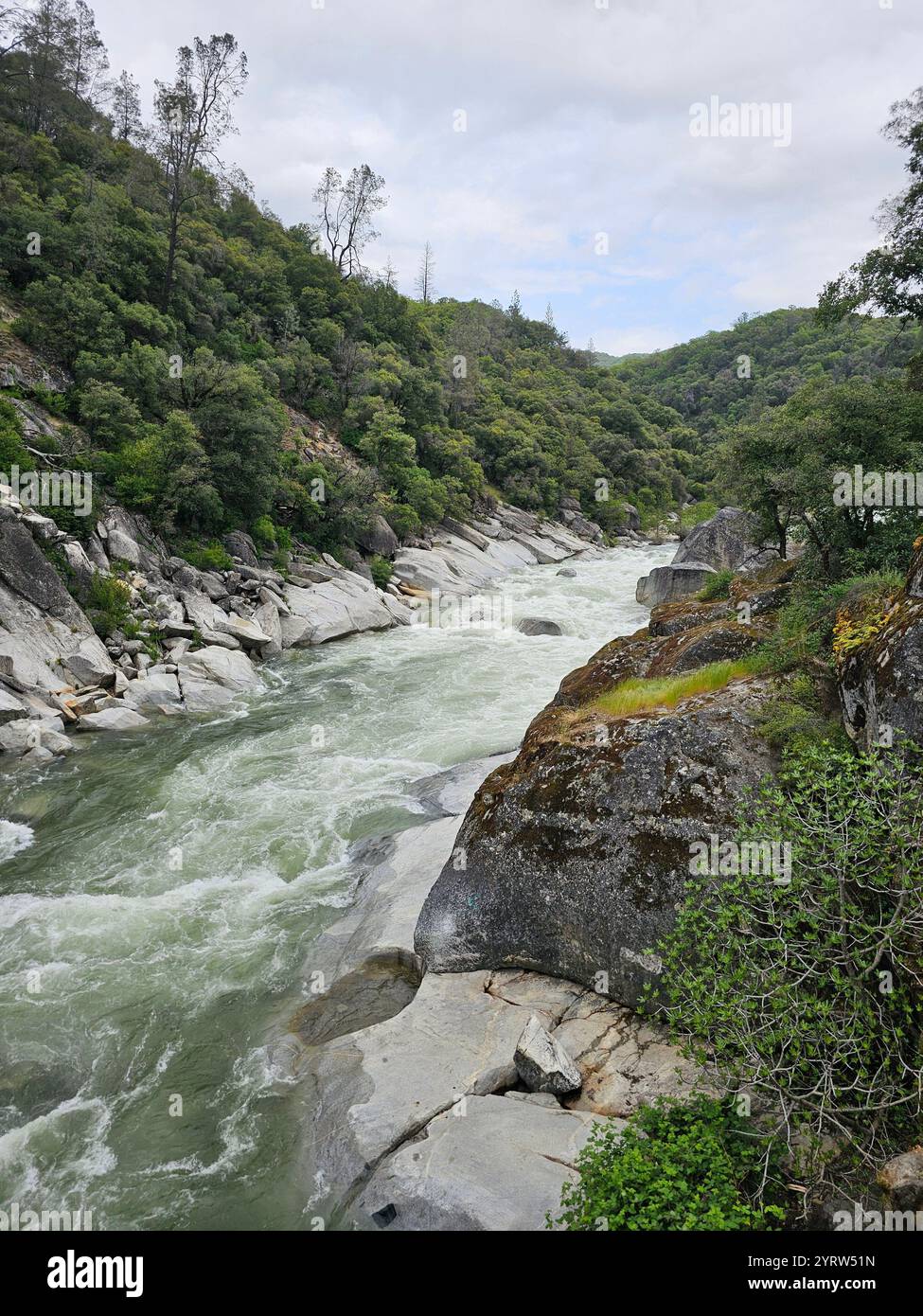 Rushing mountain river flowing through large boulders and lush greenery on a cloudy day. A peaceful, untouched natural landscape. - Smartphone Captured Stock Image