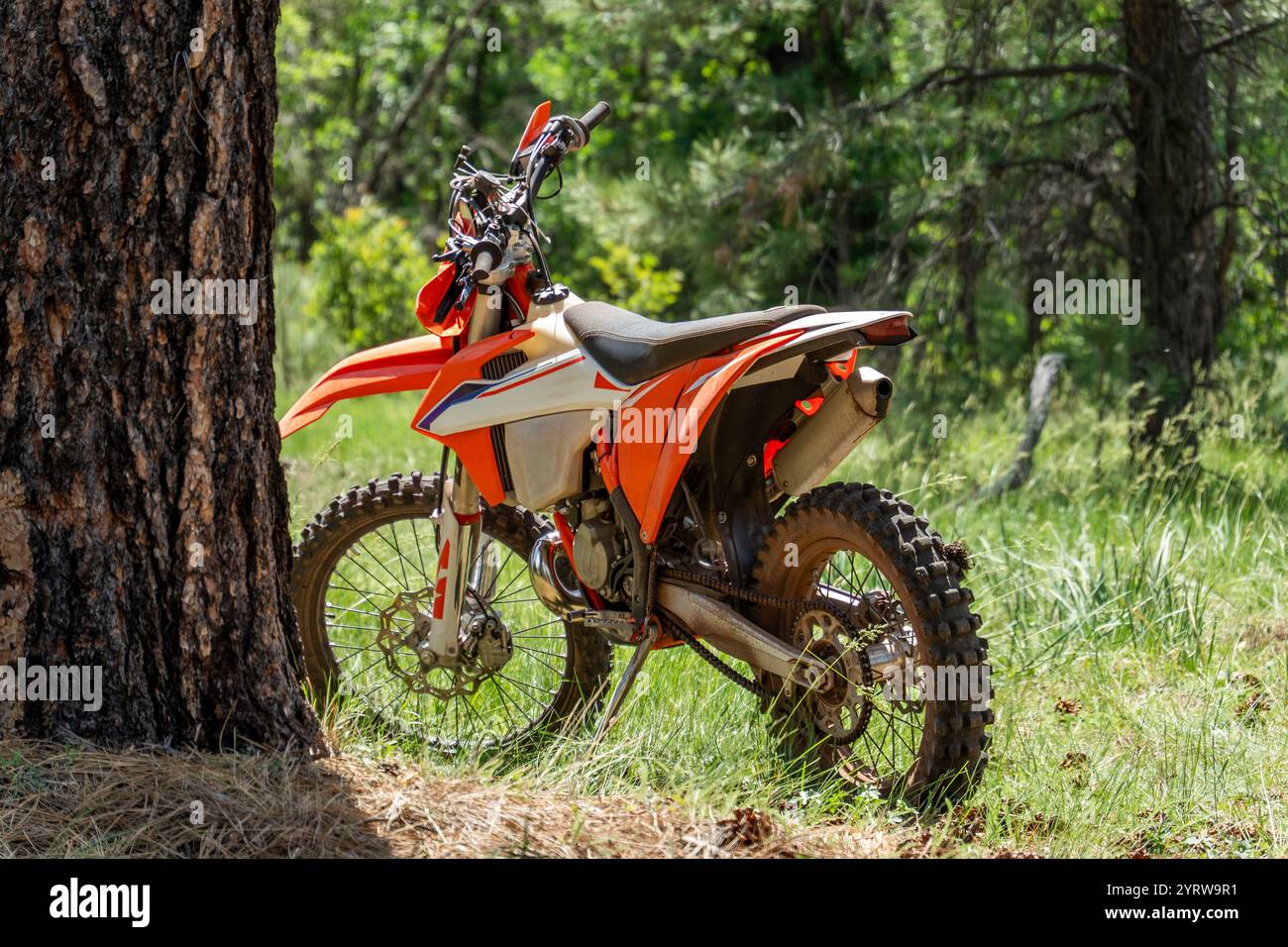 Spring Over Tree Motorcycle Bike parked under the tree hi-res stock photography and images - Alamy