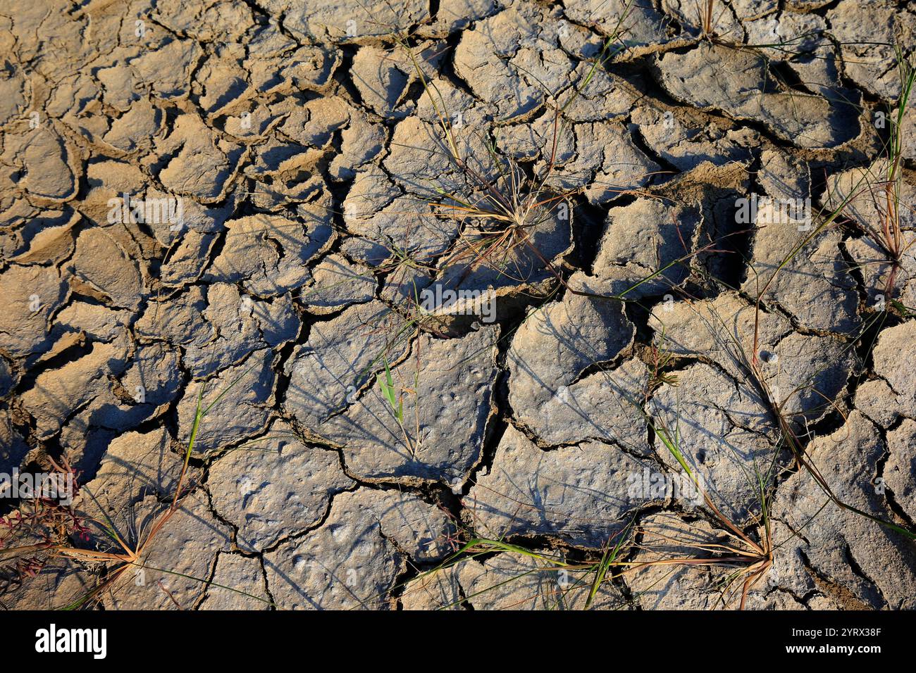 Climate warming dry chapped land Stock Photo - Alamy