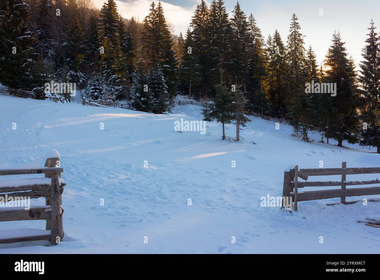 countryside landscape in winter. privat territory. wooden fence through snow covered hill. quiet morning in woodland Stock Photo