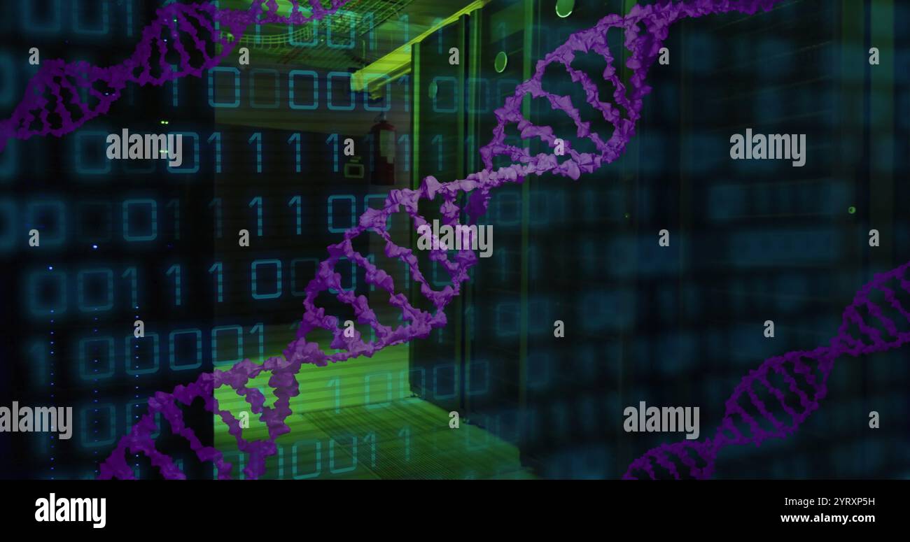 Image of dna strand, binary coding and data processing over computer servers Stock Photo