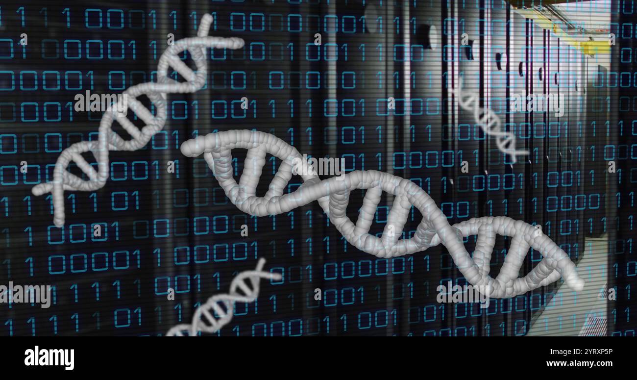 Image of dna strands, binary coding and data processing over computer servers Stock Photo