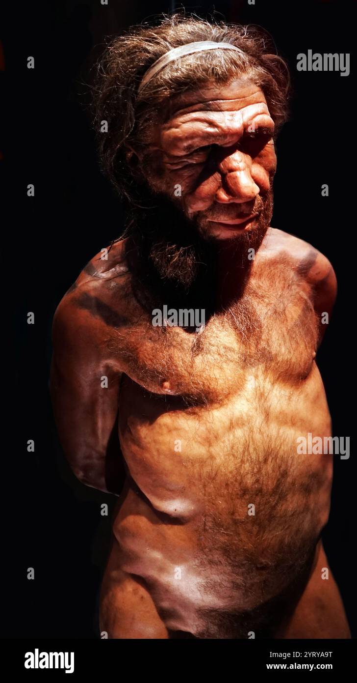 Human (Homo sapien) a species of highly intelligent primates. reconstruction based on model by Kennis & Kennis reproductions based on humans living 28,000 BC. Stock Photo