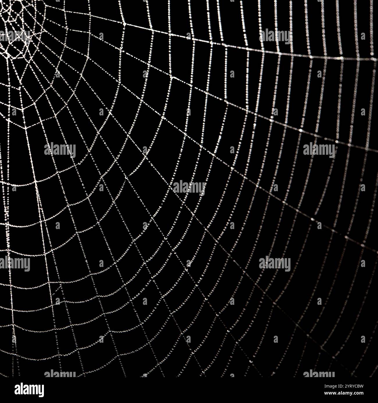 Intricate natural backdrop hi-res stock photography and images - Alamy