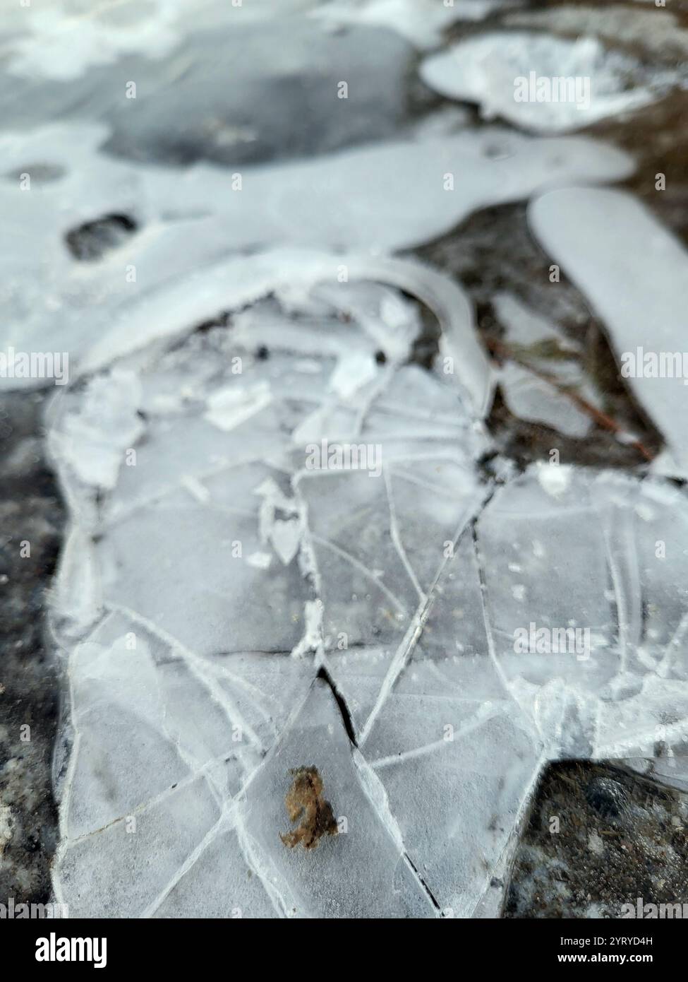 Icy pattern on the ground - Smartphone Captured Stock Image