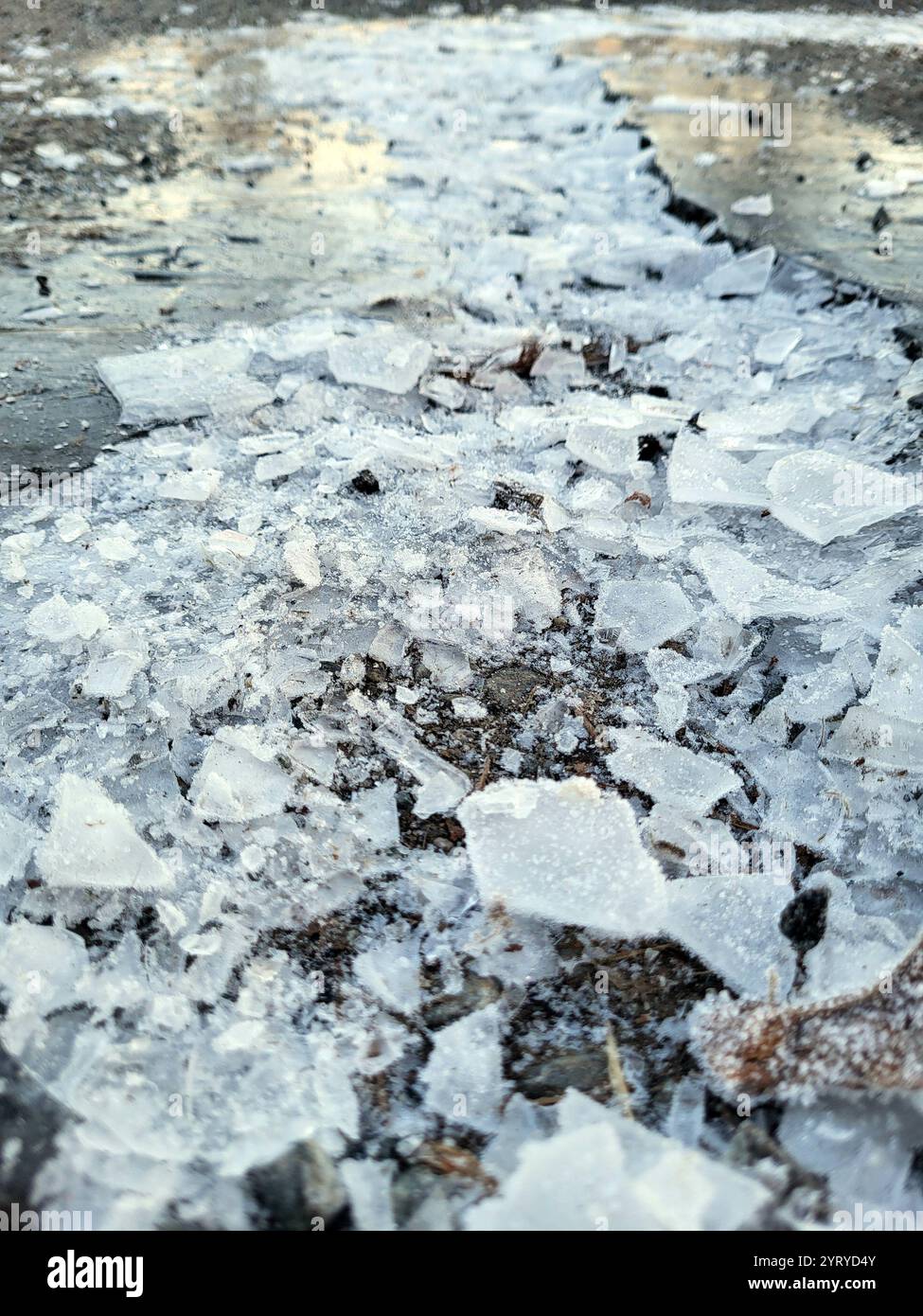 Ice shattered on the ground on a cold day at the start of winter in Norway - Smartphone Captured Stock Image