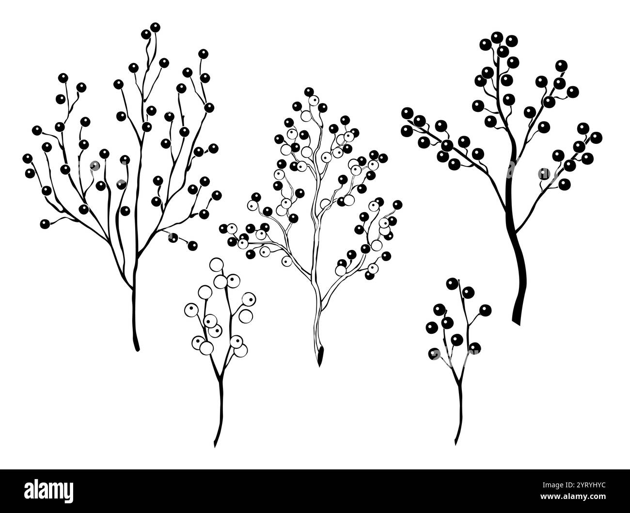Set of silhouetted and contoured, isolated, thin twigs of Winterberry Holly, Ilex verticillata on  white background. Decorations for the celebration o Stock Vector