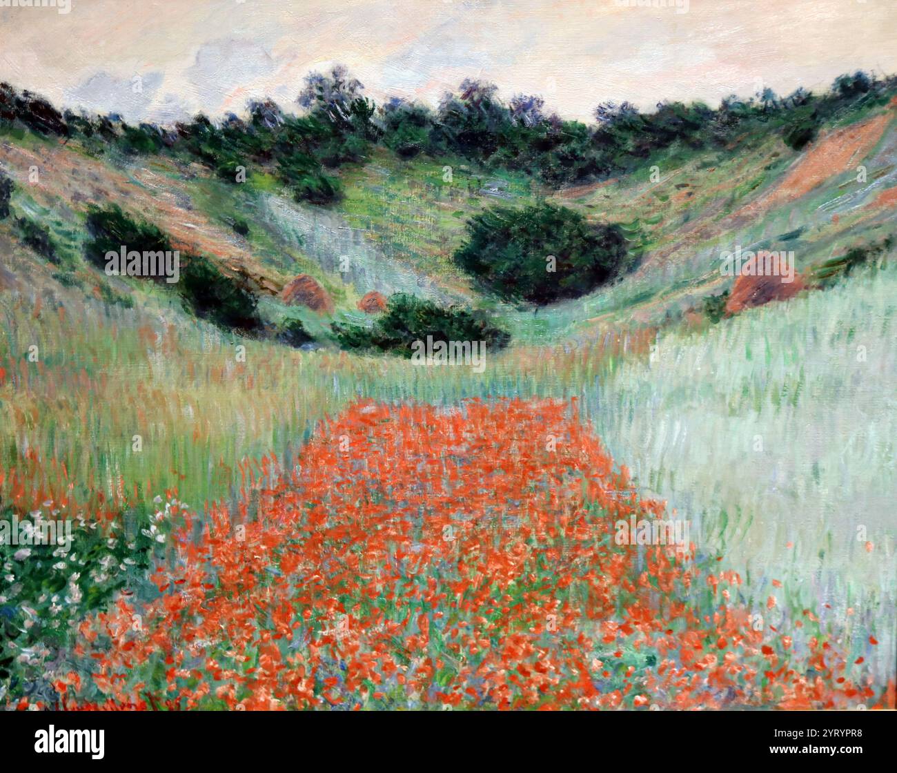 クロード・モネPoppy Field in a Hollow near Give Poppy Field in a Hollow Near Giverny - Canvas Wall Art