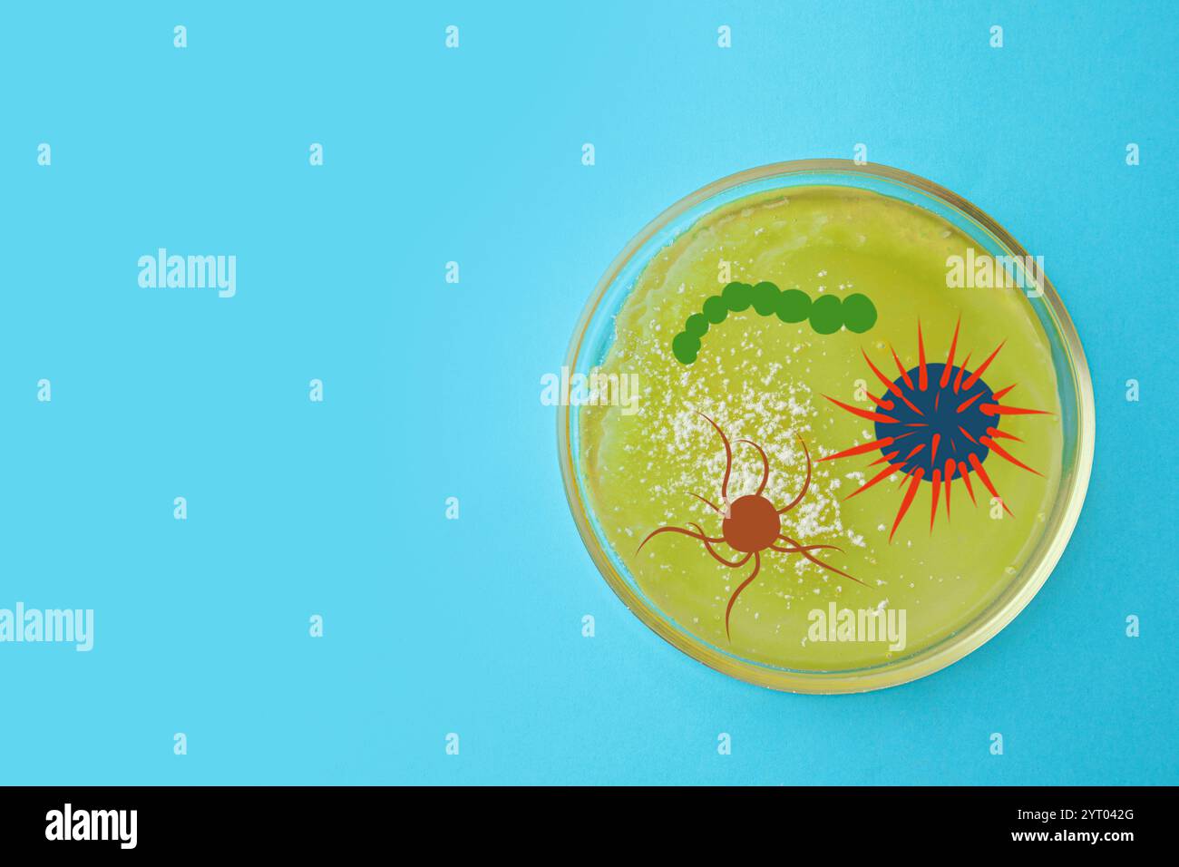 Petri dish with microbes on light blue background, top view ...