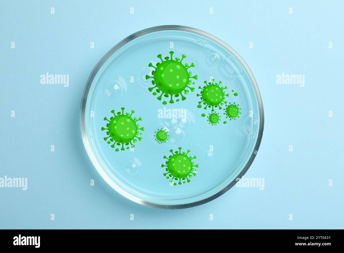 Petri dish with microbes on light blue background, top view ...