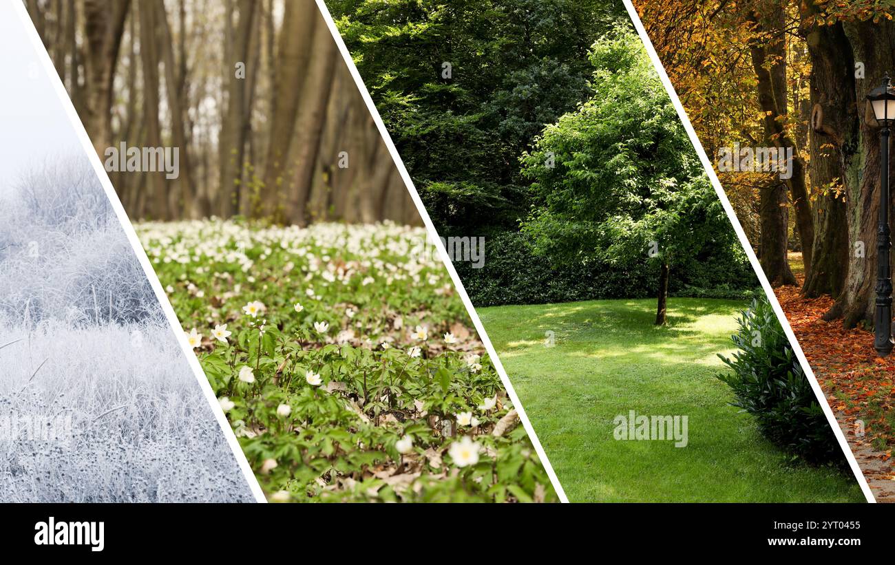 Four seasons, collage. Beautiful photos of nature during spring, summer ...