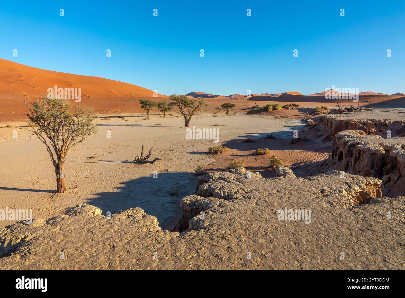 Dead by sunrise hi-res stock photography and images - Alamy