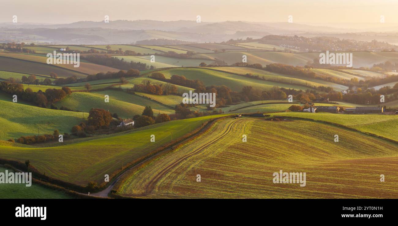 Rolling pastoral countryside at dawn, near Crediton in Devon, England.  Autumn (November) 2024. Stock Photo