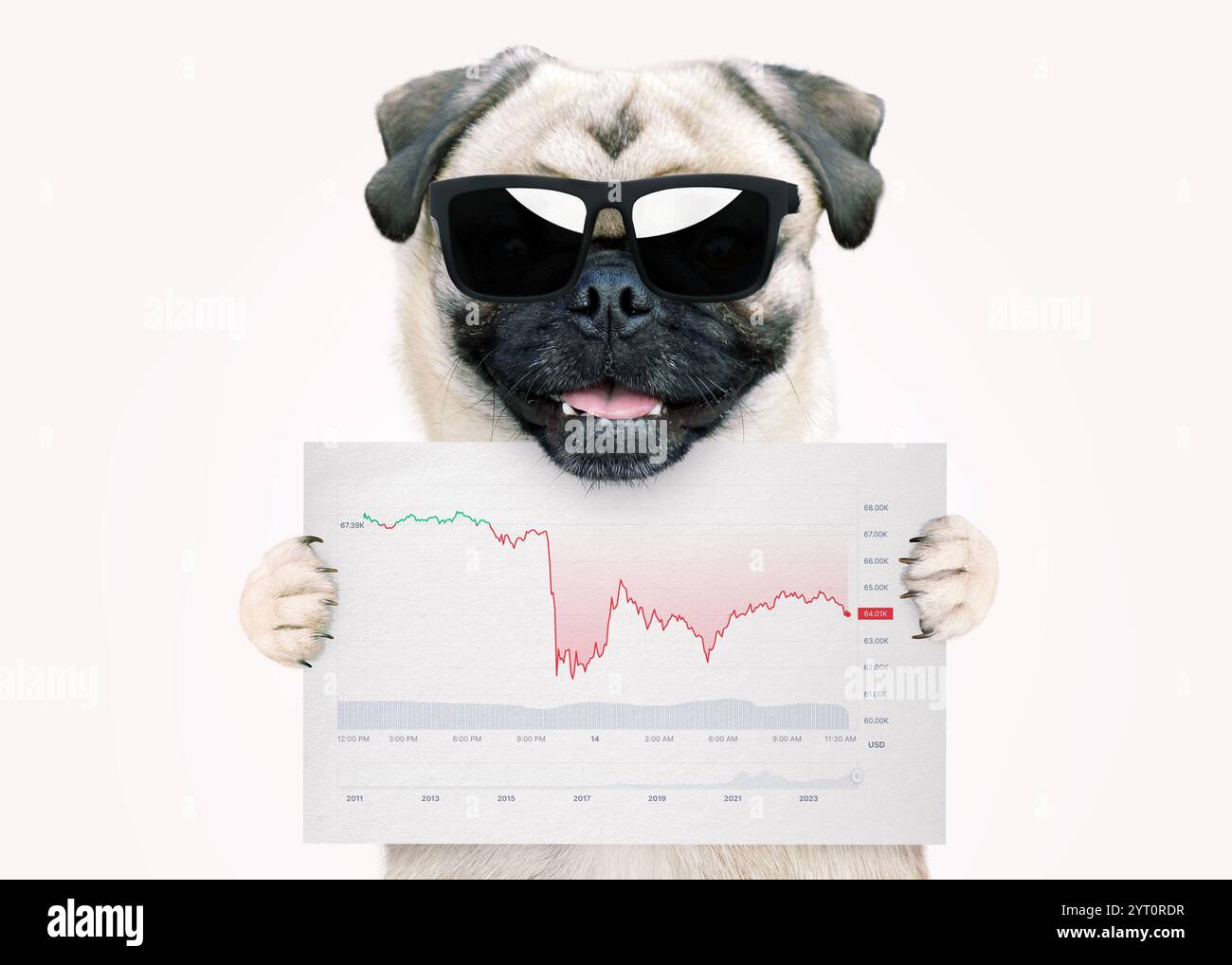 Cool Dog Trader With Stylish Sunglasses Holds A Sheet With Coin Statistics.  Falling Market And Crypto Coins, Creative Idea. Crisis And Stock Exchange  Stock Photo - Alamy
