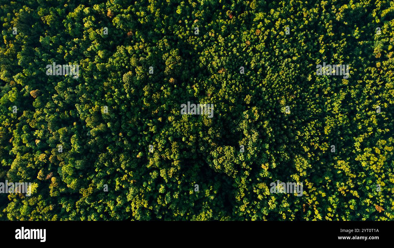 Beautiful nature view green hi-res stock photography and images - Alamy
