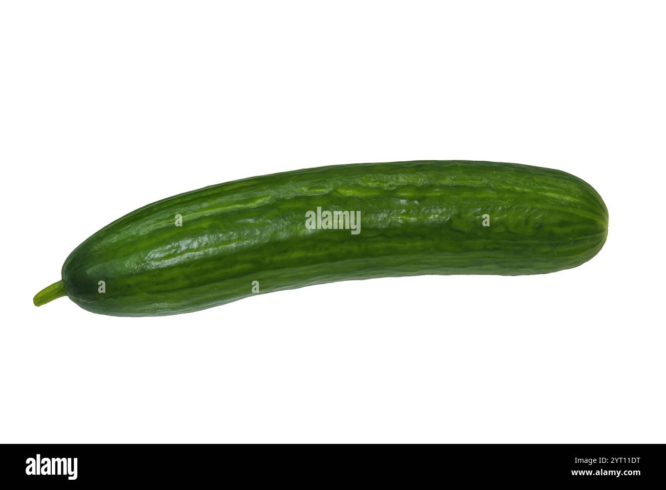 Fresh green cucumber isolated on white background Stock Photo Alamy