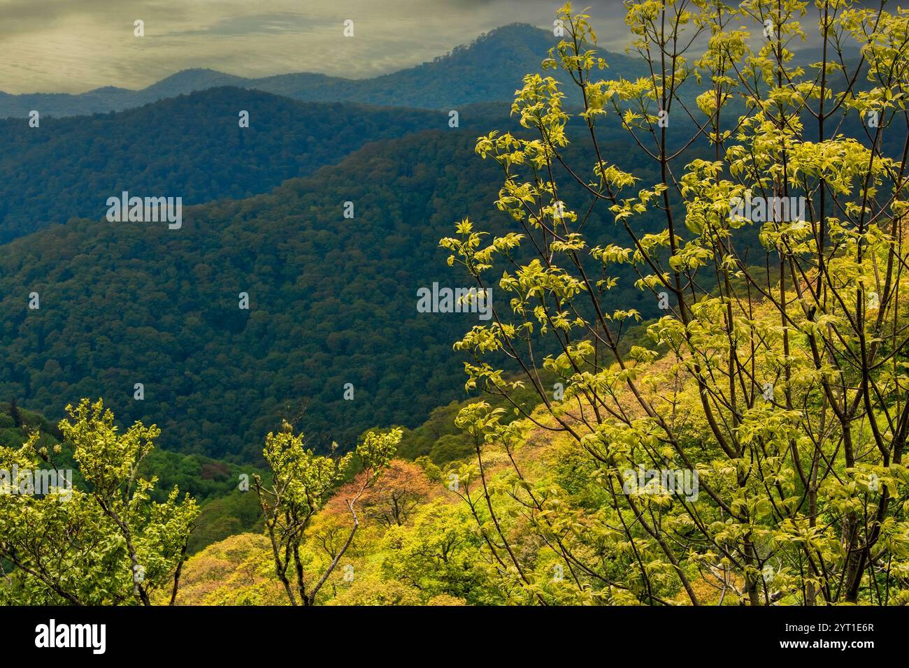 Green mountain ridge scene blue hi-res stock photography and images - Alamy