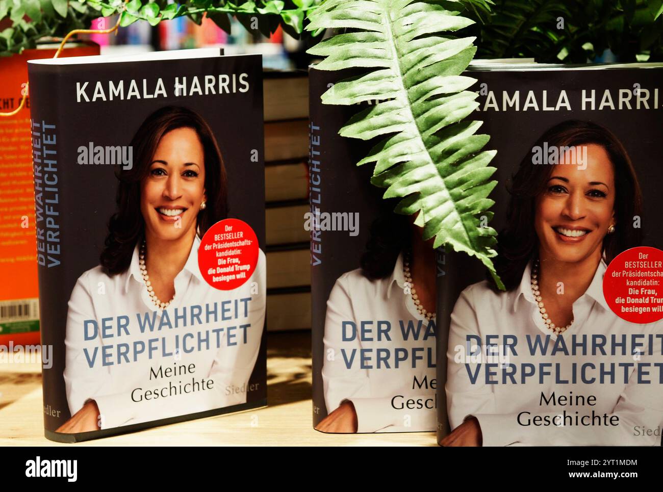 Germany, Passau December 5, 2024 The book by US Vice President