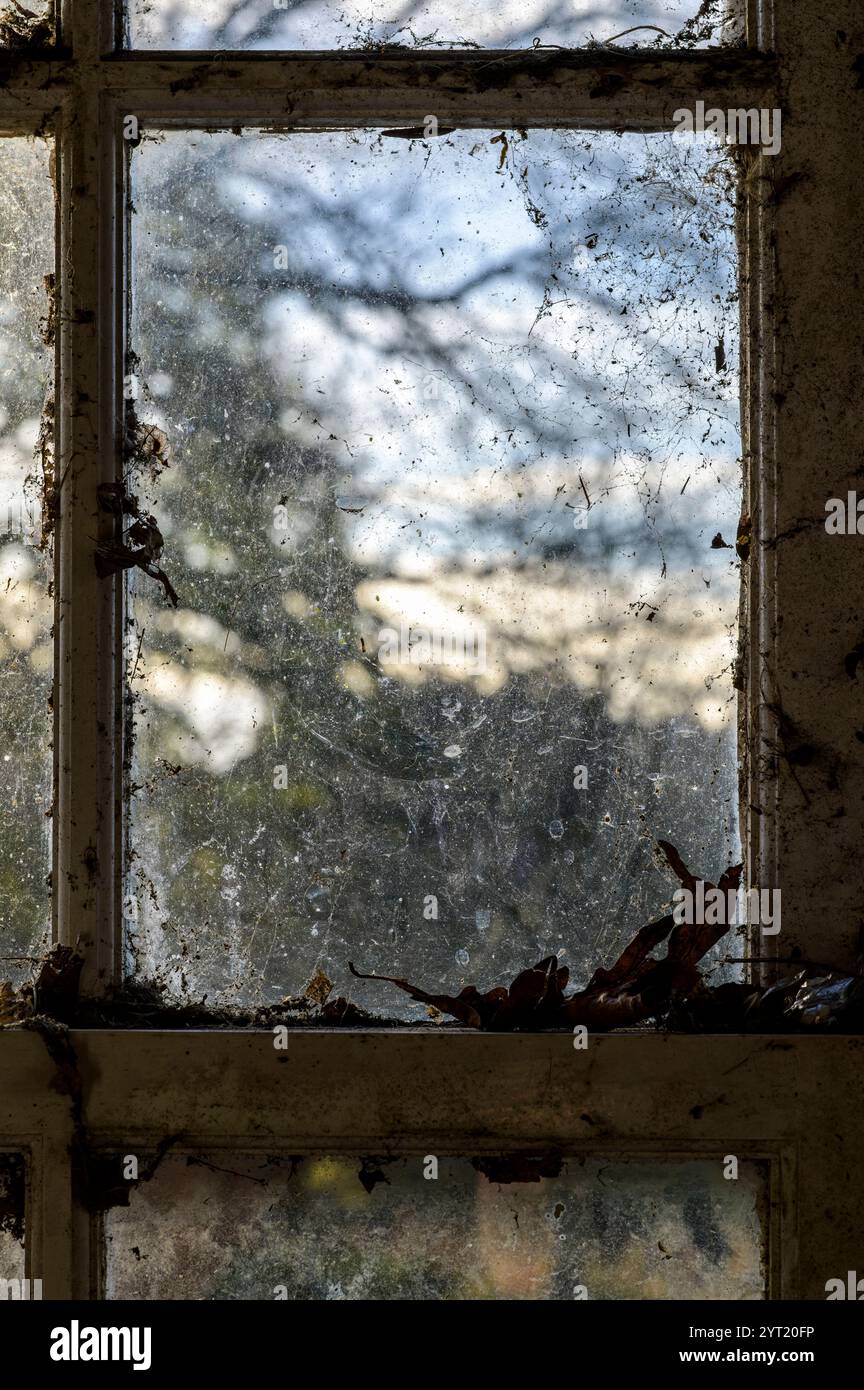 Out Window Panes Windows pane hi-res stock photography and images - Alamy