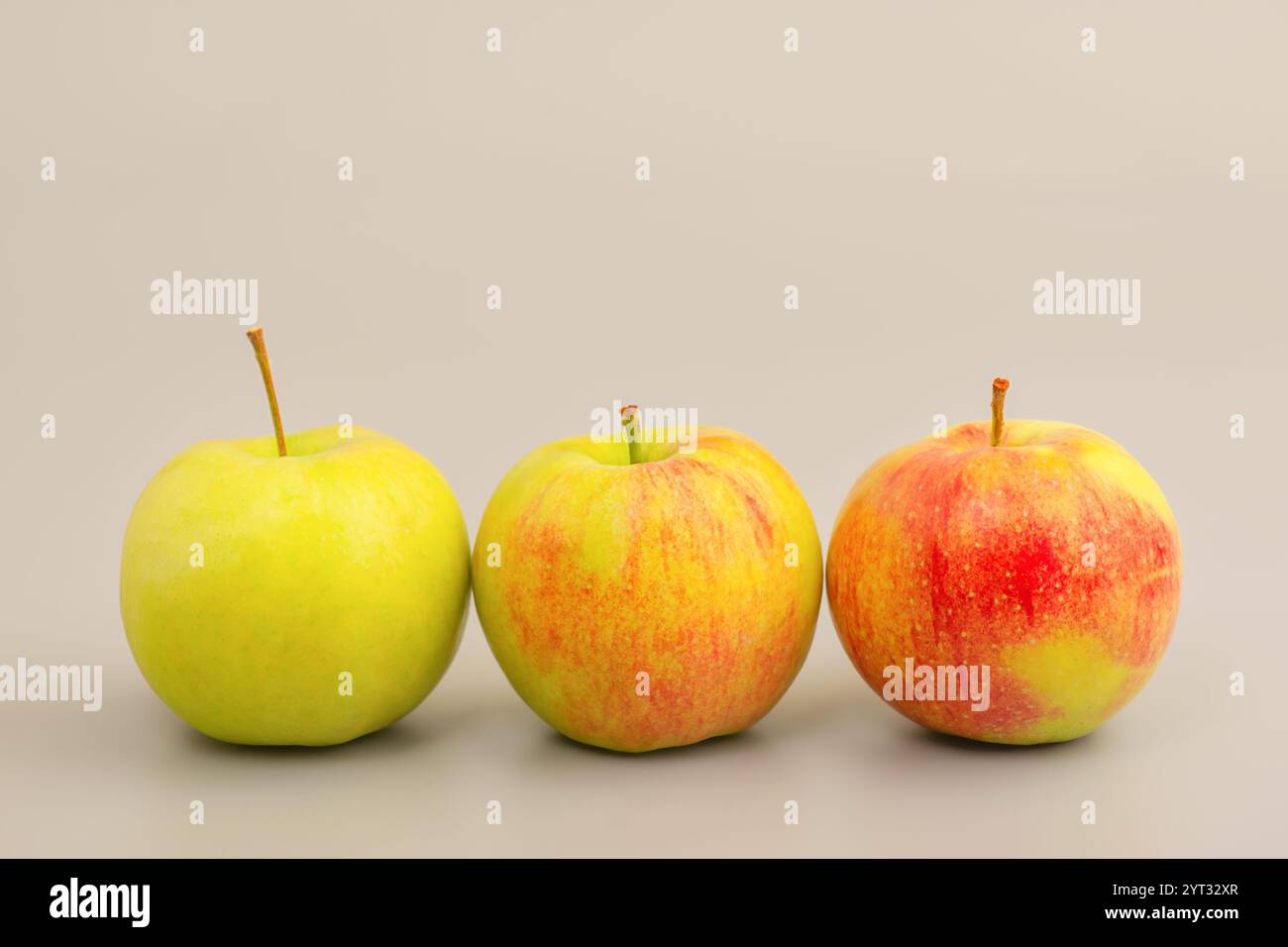 Three apples on a gray background Stock Photo
