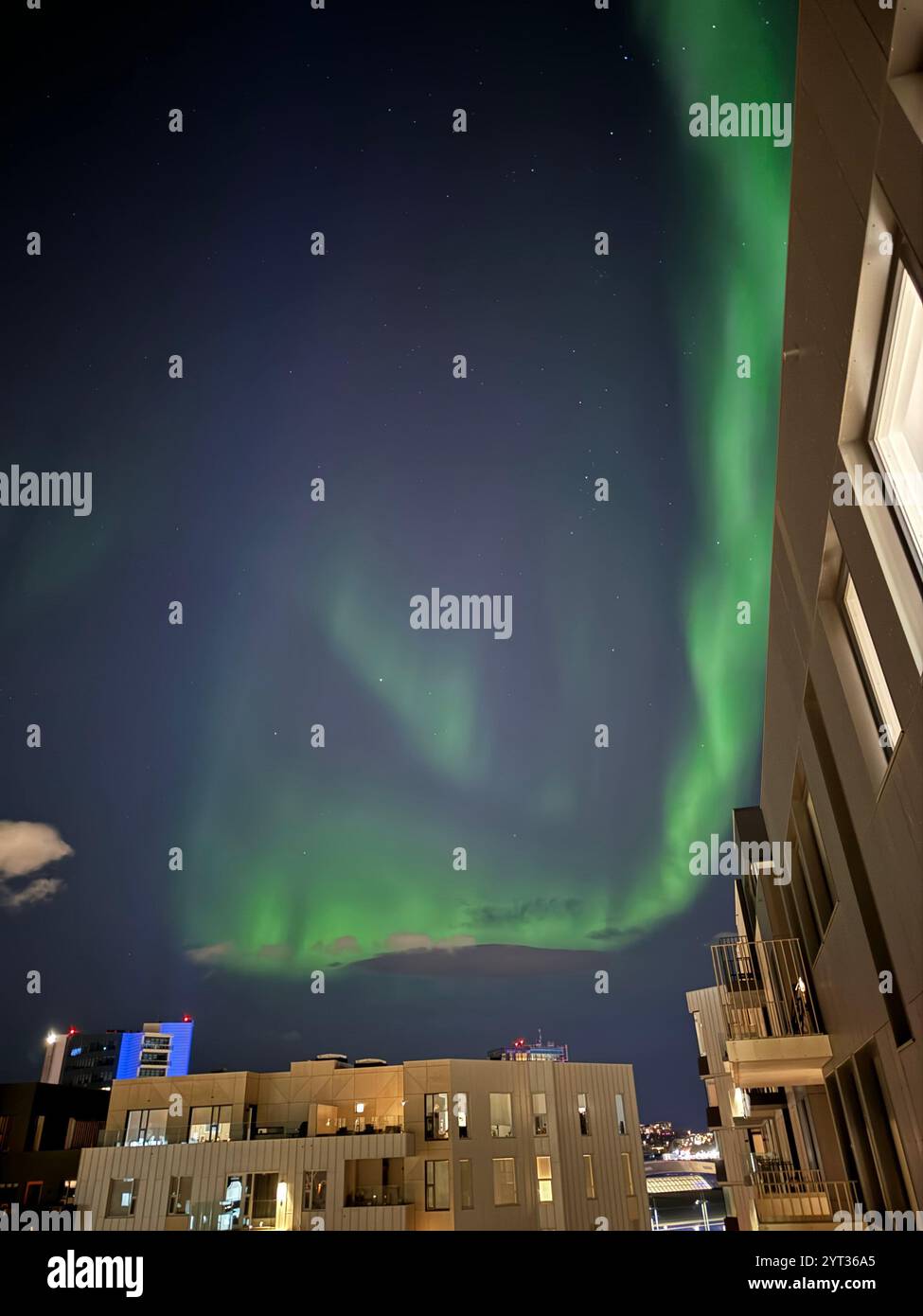 Mesmerising Northern Lights and detailed raindrop-covered leaves. A blend of celestial wonder and nature’s serene beauty, perfect for inspiration. - Smartphone Captured Stock Image