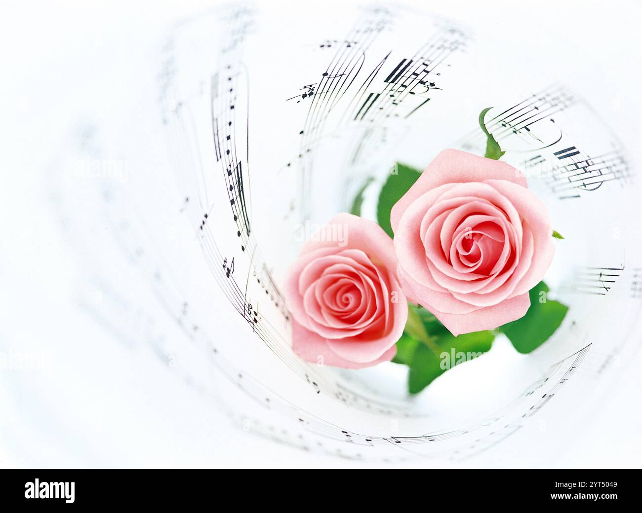 Score sheet gift hi-res stock photography and images - Alamy