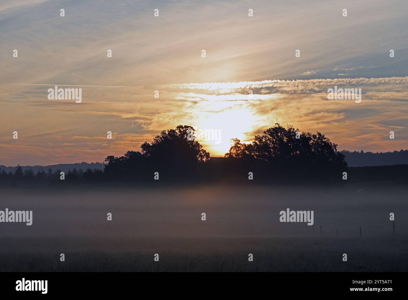 Misty sunrise Stock Photo