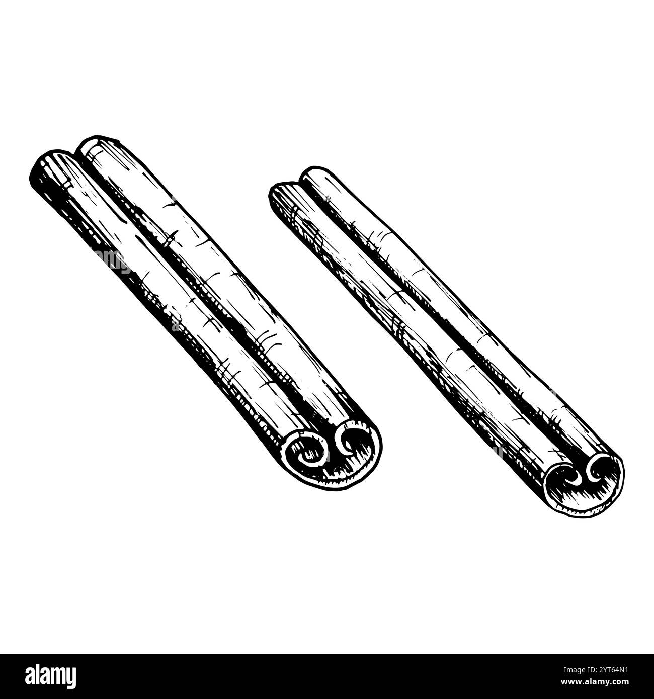 Hand drawn vector illustration of two cinnamon sticks in detailed black ...