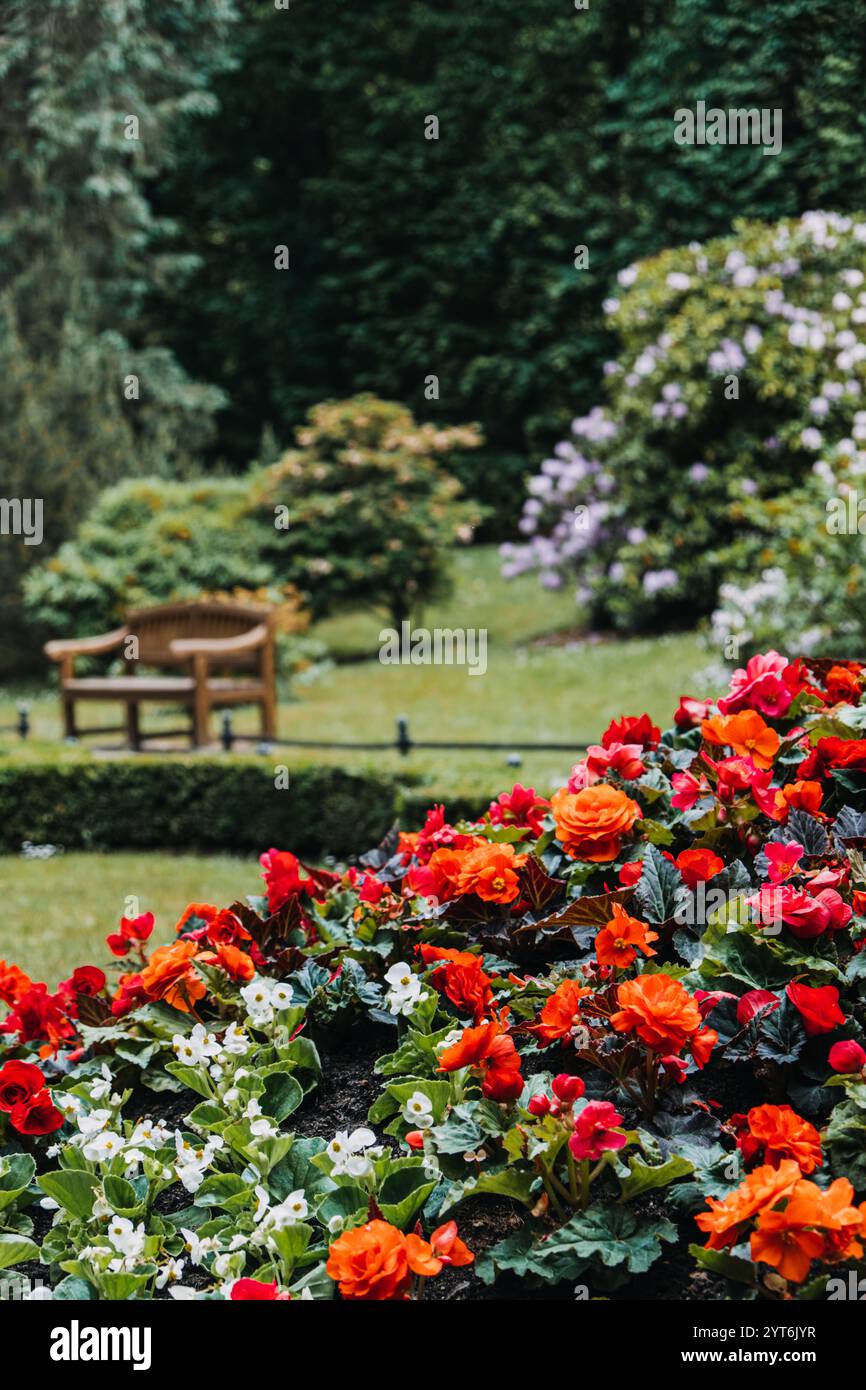 Park bench surrounded by vibrant flowers and lush greenery. Sustainable ...