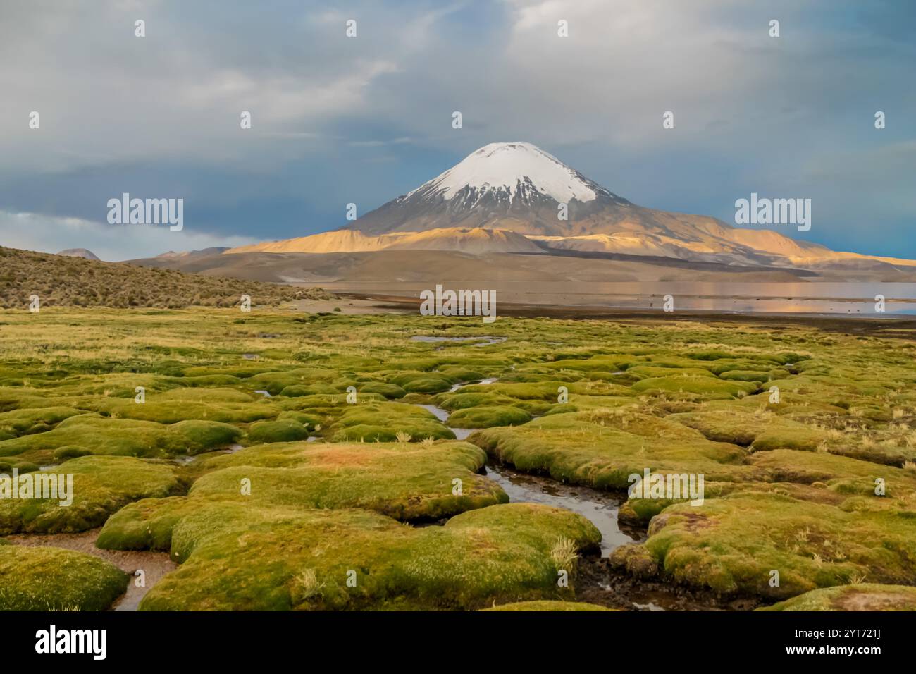 Parinacota volcano in Chile and Bolivia border. Volcanic cone summit ...