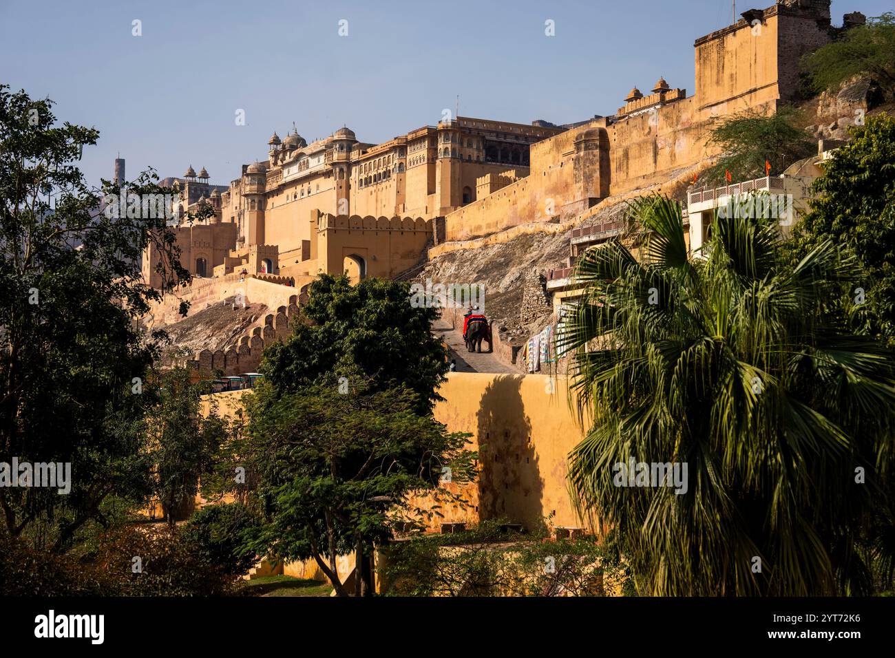 Jaipur, India, Rajasthan, Fort Amber Stock Photo