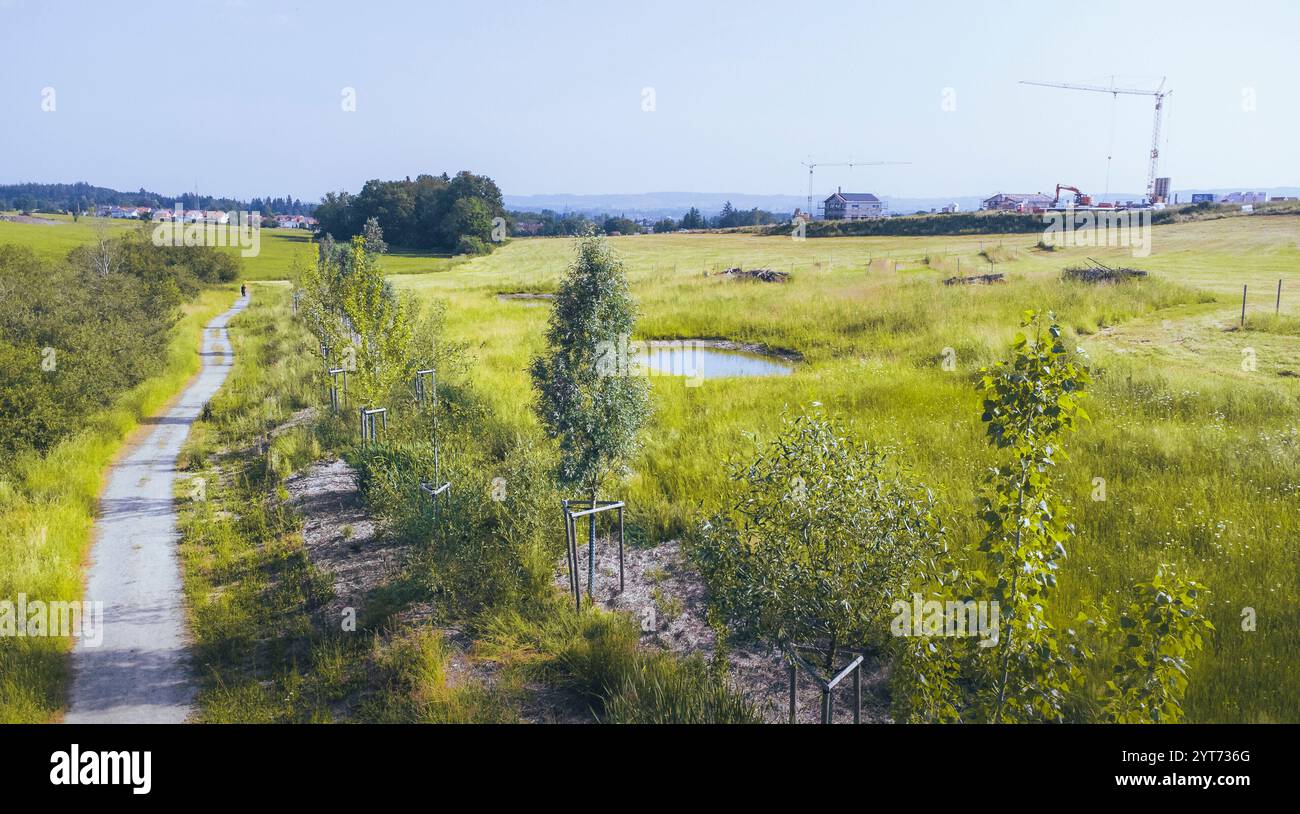 Land on piles above water hi-res stock photography and images - Alamy