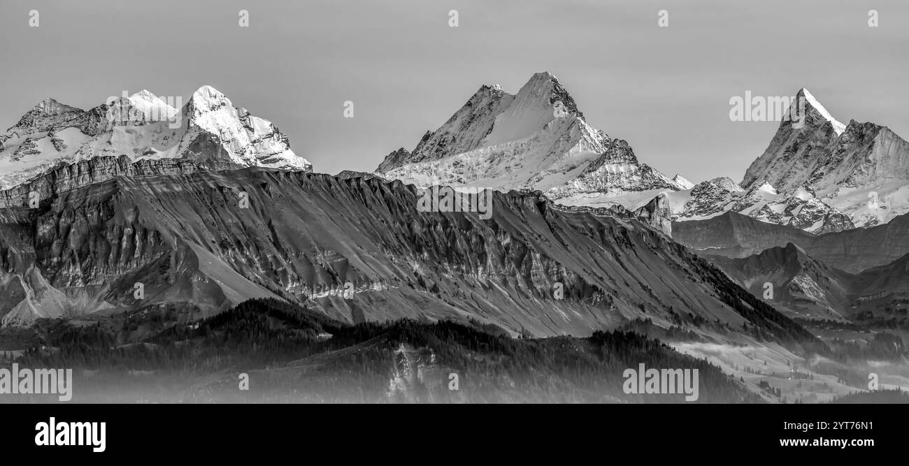 Wetterhorn 3690 m Schreckhorn 4078 m and Finsteraahorn 4274 m in the Bernese Oberland, Canton of Bern, Switzerland, Europe Stock Photo