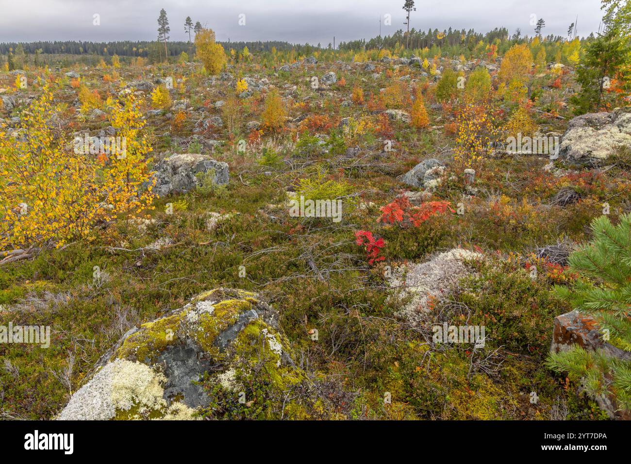 Fells landscape hi-res stock photography and images - Alamy