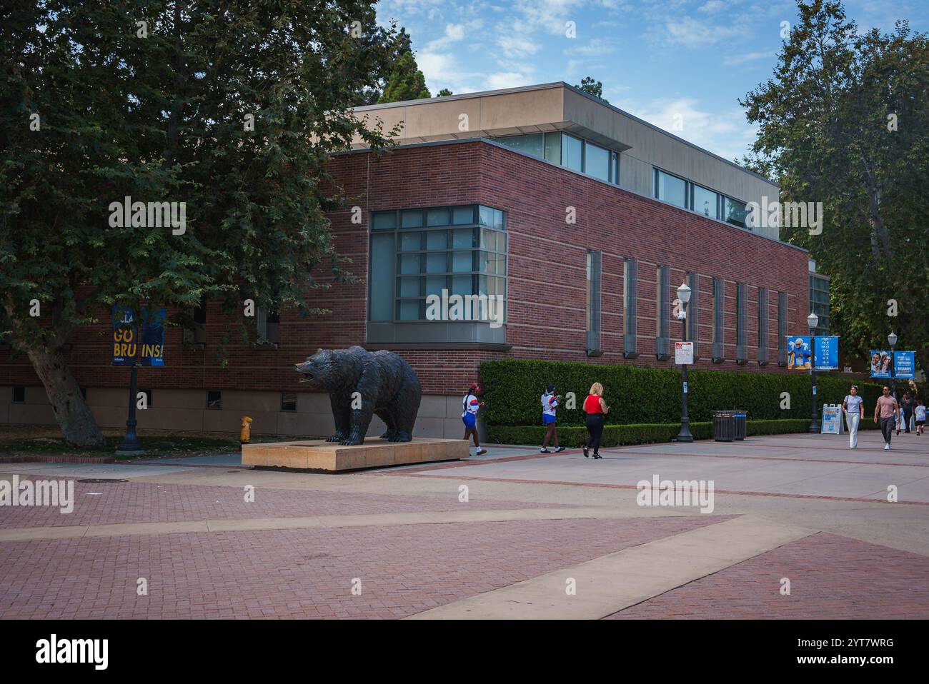 The iconic Bruin Bear statue stands prominently at UCLA in Los Angeles, framed by a modern brick building, lush trees, and a few people walking by. Stock Photo