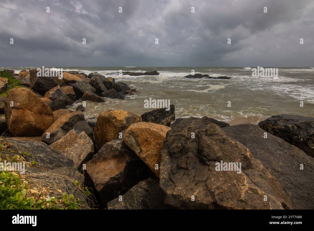 Beach with plamen and vegetation, view of the sea in the evening at sunset. Landscape with clouds in Induruwa, Bentota Beach, Sri Lanka, India, Asia Stock Photo