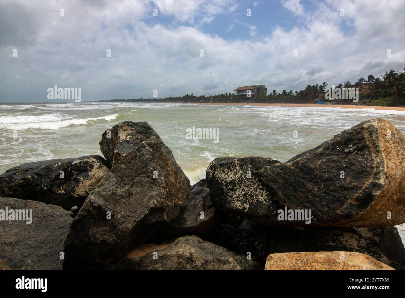 Beach with plamen and vegetation, view of the sea in the evening at sunset. Landscape with clouds in Induruwa, Bentota Beach, Sri Lanka, India, Asia Stock Photo