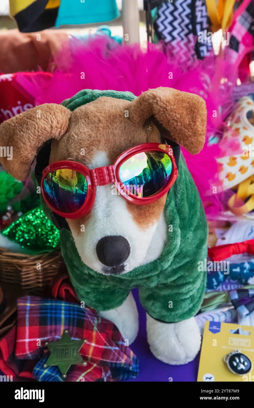 England, Kent, Deal, Betteshanger Country Park, Pawfest, Dog Accessory Shop, Toy Dog Wearing Sunglasses Stock Photo