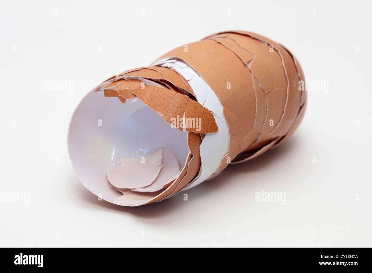 Eggshells on a white background Stock Photo