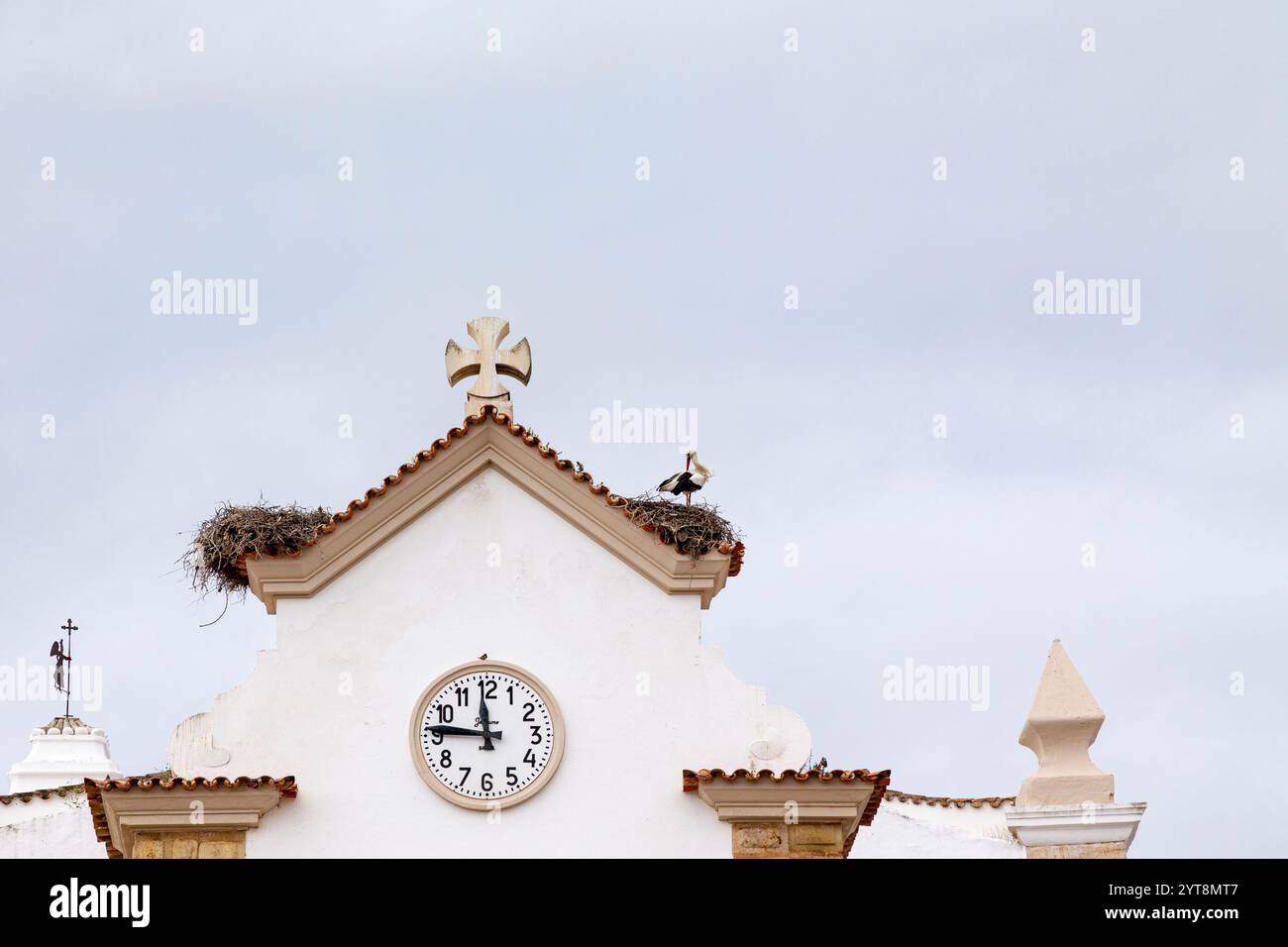 A white stork (Ciconia ciconia) on its nest on a church roof in Olhao, Algarve, Portugal. Stock Photo